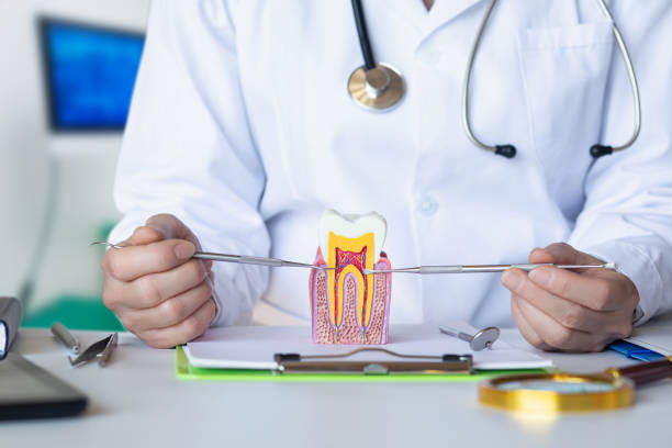 Best Pediatric Emergency Dentist in Wellston, MO